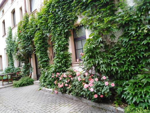 Wohnung zur Miete 440 € 2 Zimmer 57 m² Geschoss 3/4 frei ab 01.12.2026 Innenstadt Hof 95028