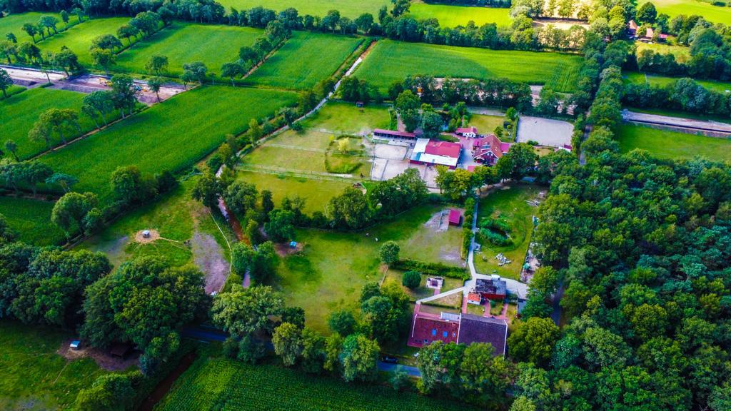 Einfamilienhaus zum Kauf 25 Zimmer 594 m² 61.660 m² Grundstück Dose Friedeburg 26446