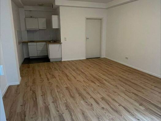Studio zur Miete 500 € 1 Zimmer 29,4 m² frei ab sofort Neckarstadt Mannheim 68167