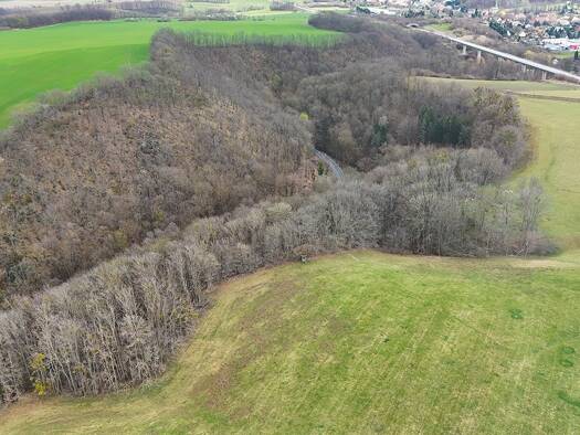 Grundstück zum Kauf 5.000 € 44.270 m² Grundstück Friedrichswalde Bahretal 01819