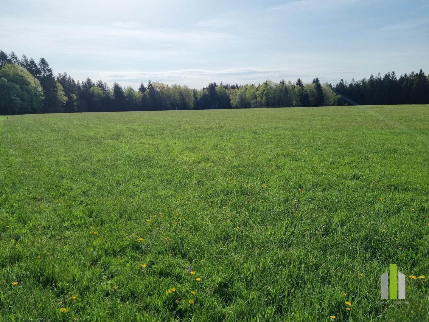 Landwirtschaftliche Fläche zum Kauf 38.465 m²<br/>Grundstück Obertrum am See 5162