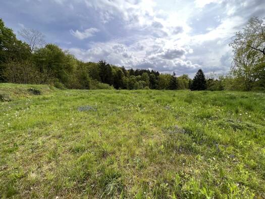 Grundstück zum Kauf 189.000 € 3.300 m² Grundstück Sinabelkirchen 8261