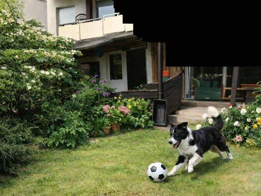 Wohnung zum Kauf 399.000 € 4 Zimmer 154 m² Altenessen-Nord Essen 45329