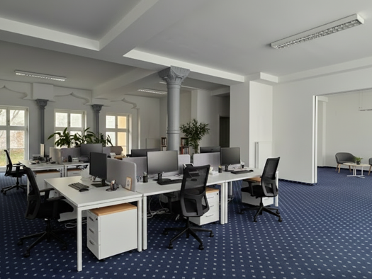 Bürofläche zur Miete provisionsfrei 880 € 2 Zimmer 110,1 m² Bürofläche Innenstadt Görlitz 02826