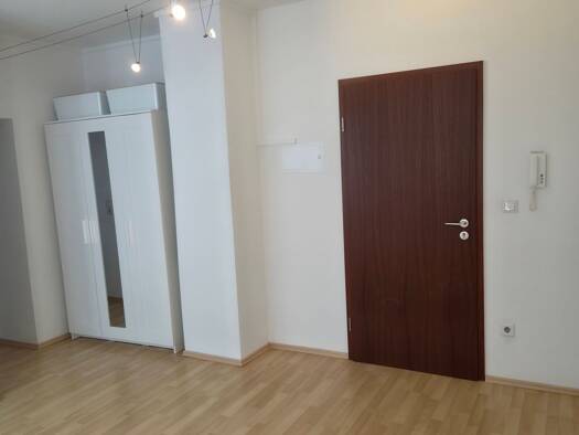 Wohnung zur Miete 650 € 2 Zimmer 32 m² frei ab sofort Altstadt Heidelberg 69117