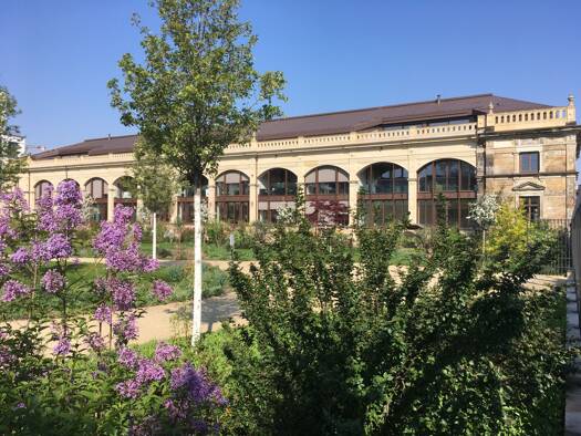 Terrassenwohnung zum Kauf 3 Zimmer 190,2 m² EG Wilsdruffer Vorstadt/Seevorstadt-West Ortsamtsbereich Altstadt 01067