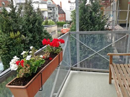 Wohnung zur Miete 550 € 2 Zimmer 65 m² 1. Geschoss frei ab sofort Frische Grube 30-32 Altstadt Wismar 23966