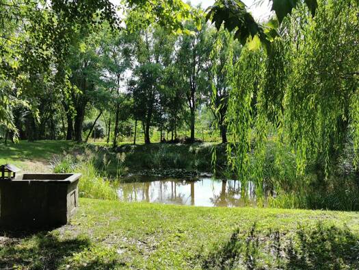 Grundstück zum Kauf 112.000 € 3.200 m² Grundstück Sopron-Umgebung 9340 