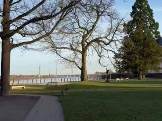 Gewerbeobjekt zum Kauf als Kapitalanlage geeignet 2.600.000 € 51 Zimmer 1.135,7 m² 805 m² Grundstück Wesseling 50389