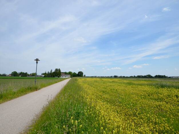 Grundstück zum Kauf 210.000 € 1.000 m² Grundstück Hallbergmoos Hallbergmoos 85399