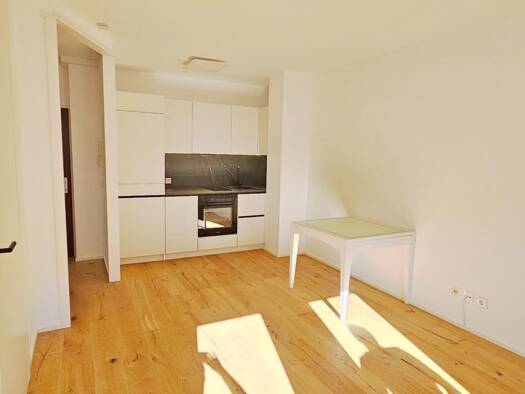 Wohnung zur Miete 421 € 2 Zimmer 33,3 m² 2. Geschoss Lustenau Linz 4020