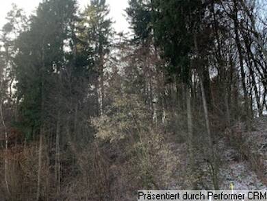 Land-/Forstwirtschaft zum Kauf Gaden b. Geisenfeld Geisenfeld 85290