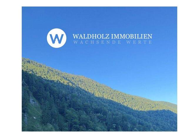 Forstwirtschaft zum Kauf 27.500.000 m² 1.560.000 m² Grundstück Altstadt-Lehel München 80331