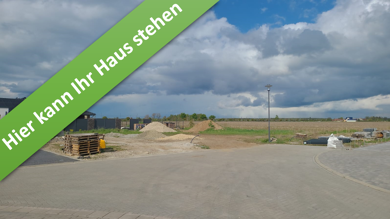 Einfamilienhaus zum Kauf provisionsfrei 295.295 € 5 Zimmer 142 m² 839 m² Grundstück Am Dammkrug Mieste Gardelegen 39649
