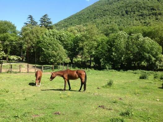 Grundstück zum Kauf 550.000 € Porlezza