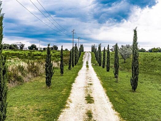 Haus zum Kauf 1.000.000 € 230 m² Montalto di Castro 01014