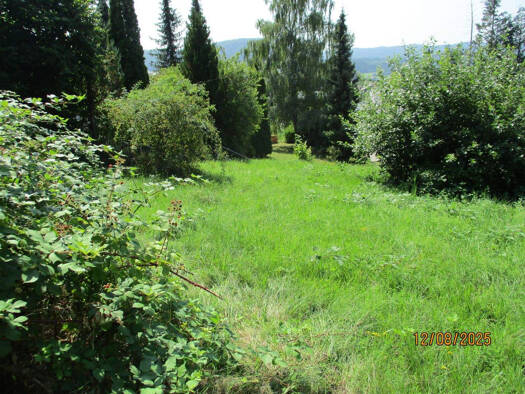 Grundstück zum Kauf 99.000 € 513 m² Grundstück Burladingen 72393