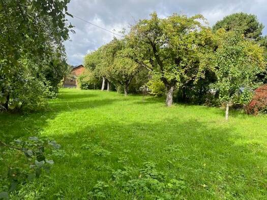 Grundstück zum Kauf provisionsfrei 345.000 € 730 m² Grundstück Hörvelsingen Langenau 89129