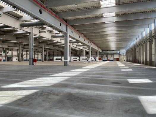 Lagerhalle zur Miete provisionsfrei 6 € 14.000 m² Lagerfläche teilbar ab 9.550 m² Gewerbegebiet Ost Grevenbroich 41515