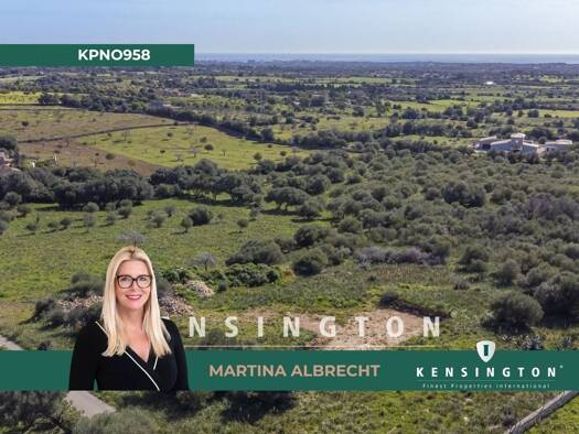 Grundstück zum Kauf provisionsfrei 650.000 € 15.190 m² Grundstück Manacor/ Porto Cristo 07540