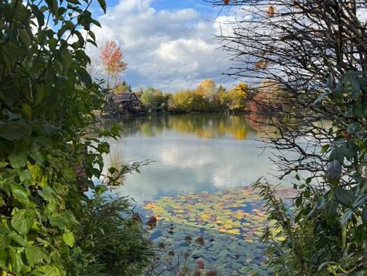 Haus zur Miete 1.180 € 2 Zimmer 80 m² 200 m² Grundstück frei ab sofort Riedheim Leipheim 89340