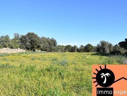 Grundstück zum Kauf provisionsfrei 530.000 € 20.280 m² Grundstück Cala d´Or 07660