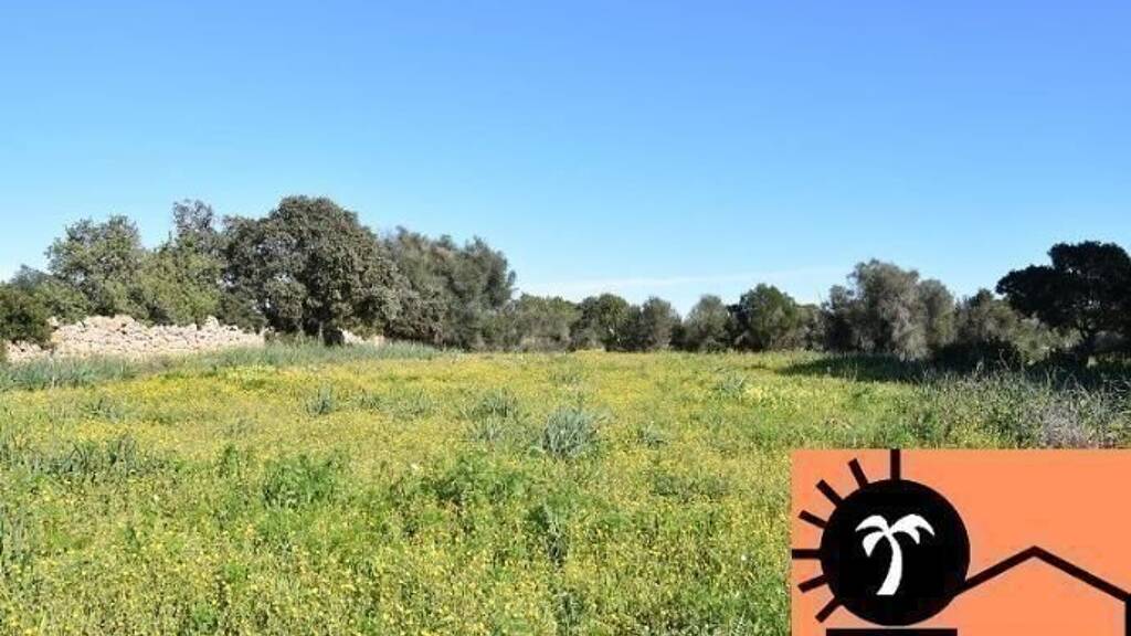 Grundstück zum Kauf provisionsfrei 530.000 € 20.280 m² Grundstück Cala d´Or 07660