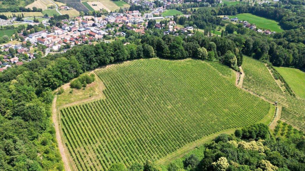 Grundstück zum Kauf 1.400.000 € 11.733 m² Grundstück Eckberg 8462