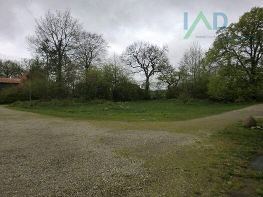 Grundstück zum Kauf 69.000 € 1.101 m² Grundstück Börm 24863