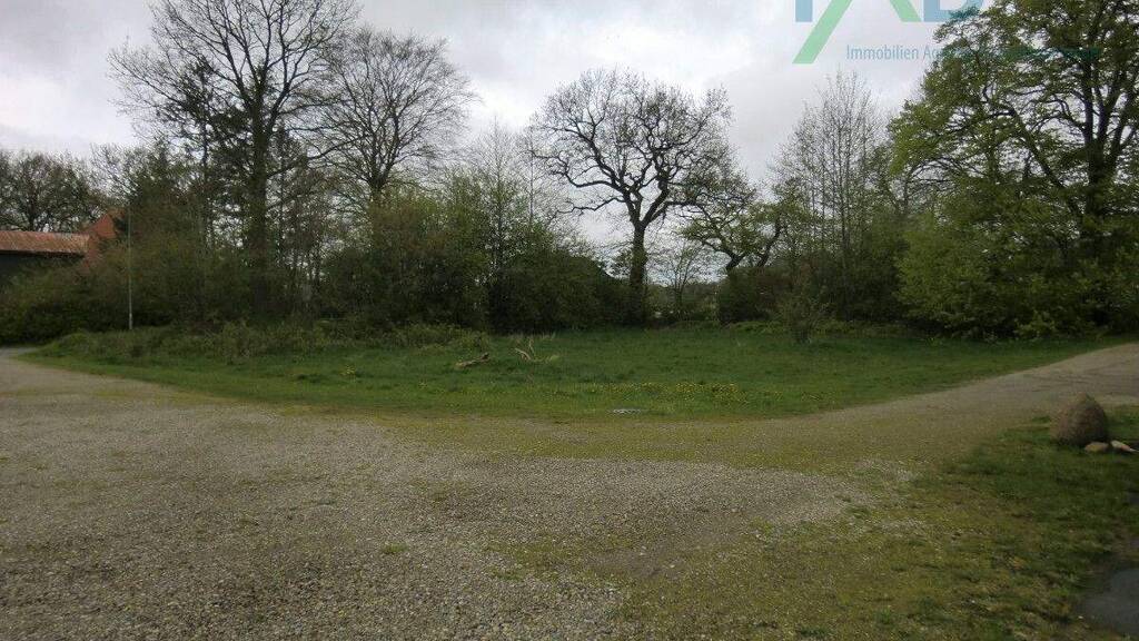 Grundstück zum Kauf 69.000 € 1.101 m² Grundstück Börm 24863