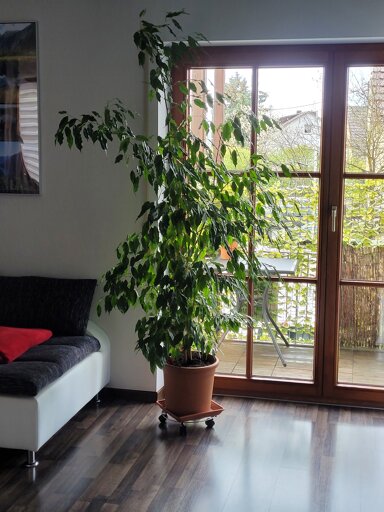 Wohnung zur Miete 950 € 2 Zimmer 68 m² 1. Geschoss Mühlhausen Affing 86444