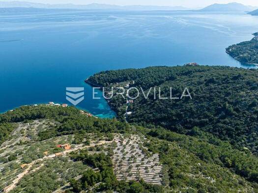 Acker-/Waldstück zum Kauf 100.000 € Prigradica Blato 20271