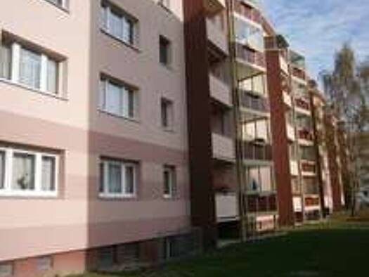 Wohnung zur Miete 300 € 3 Zimmer 60 m² 5. Geschoss An der Wyhra 48 Borna 04552