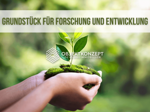 Gewerbegrundstück zur Miete provisionsfrei 4.000 m² Grundstück Wiesenstetten Empfingen 72186