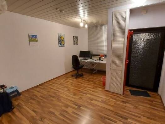 Studio zur Miete 370 € 1 Zimmer 27 m² EG frei ab 01.04.2026 Nackenheim 55299