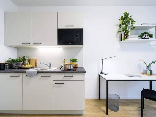 Wohnung zur Miete 570 € 1 Zimmer 21,4 m² 1. Geschoss frei ab sofort Ahornstraße 4 Babelsberg Süd Potsdam 14482