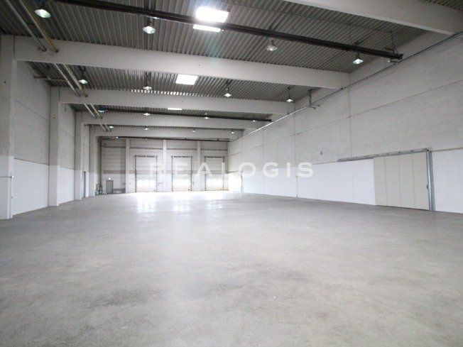 Halle/Industriefläche zur Miete provisionsfrei 2.500 m²<br/>Lagerfläche ab 1.200 m²<br/>Teilbarkeit Kelsterbach 65451