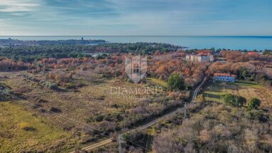 Land-/Forstwirtschaft zum Kauf Umag center 52470