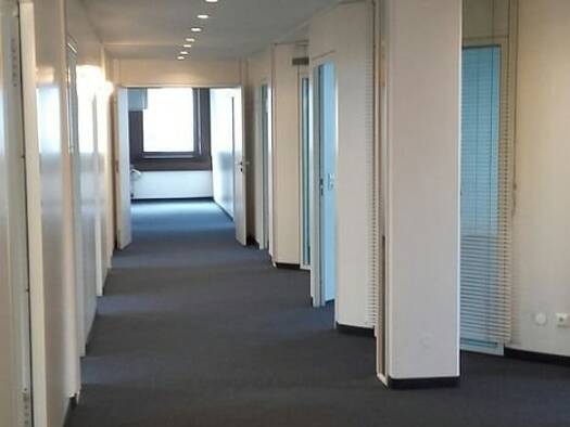 Bürofläche zur Miete provisionsfrei 10,50 € 680 m² Bürofläche teilbar ab 298 m² Biebrich Wiesbaden 65203