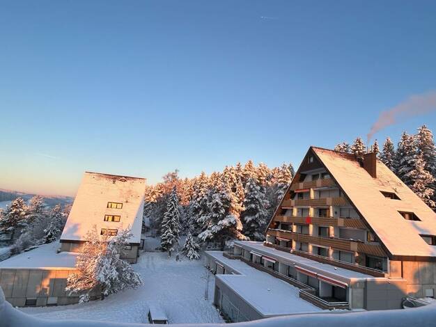 Wohnung zum Kauf 239.000 € 3 Zimmer 76 m² 3. Geschoss Wallstadt Unterkirnach 78089