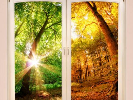 Einfamilienhaus zum Kauf provisionsfrei 769.560 € 6 Zimmer 156 m² 450 m² Grundstück Erbach 64711