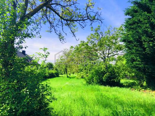 Grundstück zum Kauf 199.000 € 569 m² Grundstück Breitenbrunn am Neusiedler See 7091