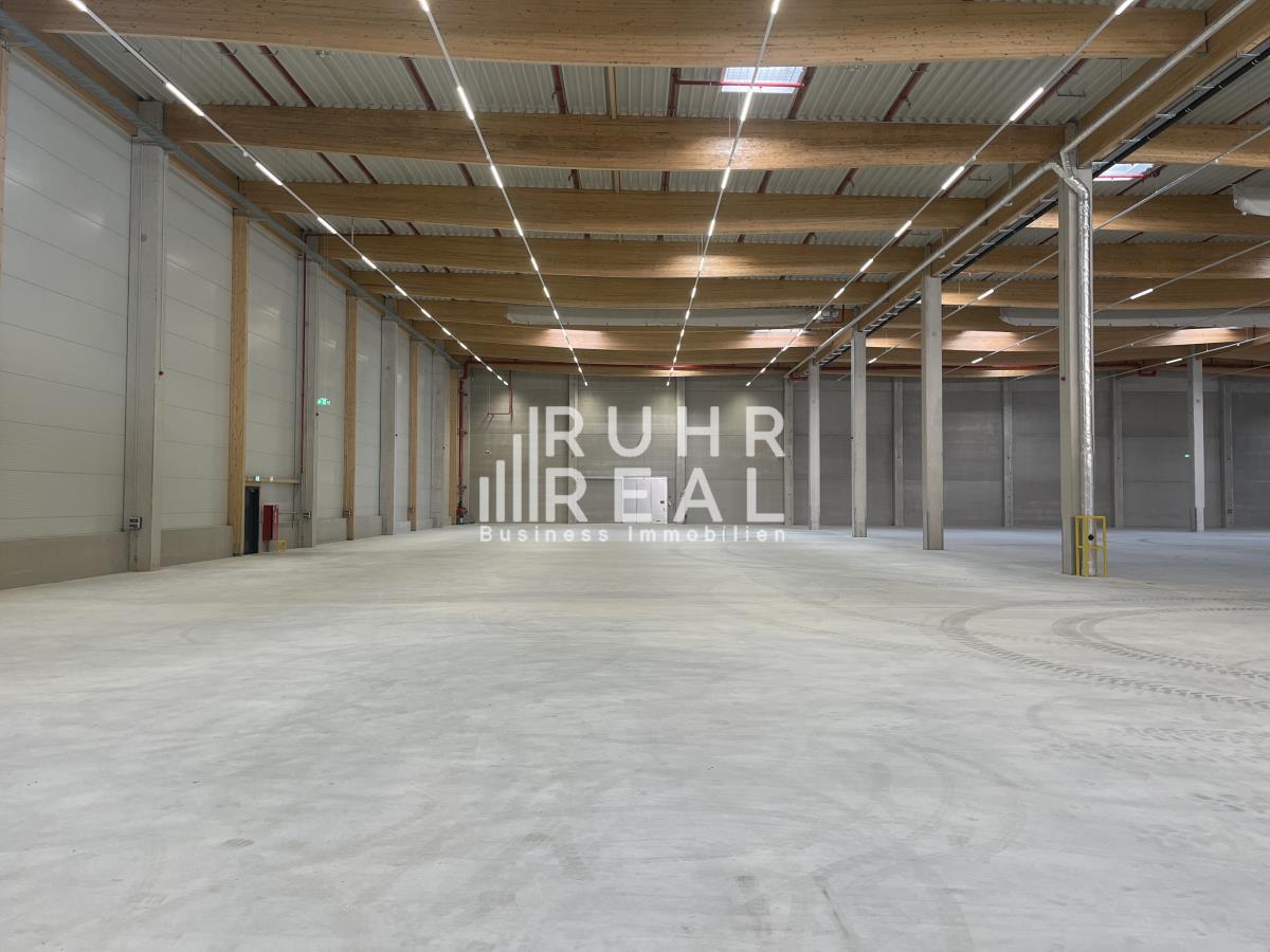 Lagerhalle zur Miete 6.990 m²<br/>Lagerfläche ab 6.990 m²<br/>Teilbarkeit Osterberg Lotte 49504