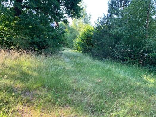 Grundstück zum Kauf 39.000 € 385 m² Grundstück frei ab sofort Ruppertsweiler 66957