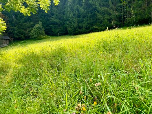 Grundstück zum Kauf 189.800 € 730 m² Grundstück Gröbming 8962