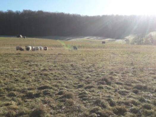 Bauernhaus zum Kauf 400.000 € 6 Zimmer 200 m² 1.700 m² Grundstück Wallernhausen Nidda 63667