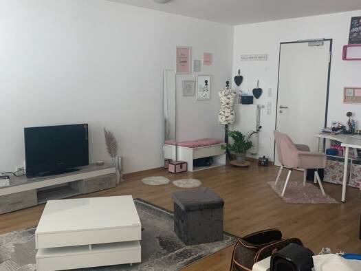 Wohnung zur Miete 700 € 1 Zimmer 49,5 m² Geschoss 1/3 frei ab 01.03.2026 Ludwigstraße 11 Innenstadt Aschaffenburg 63739