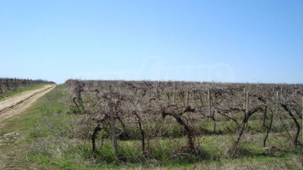 Grundstück zum Kauf 210.500 € Varna