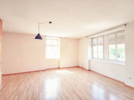 Wohnung zur Miete 500 € 2 Zimmer 50 m² 1. Geschoss Blumau / Neurißhof 2602