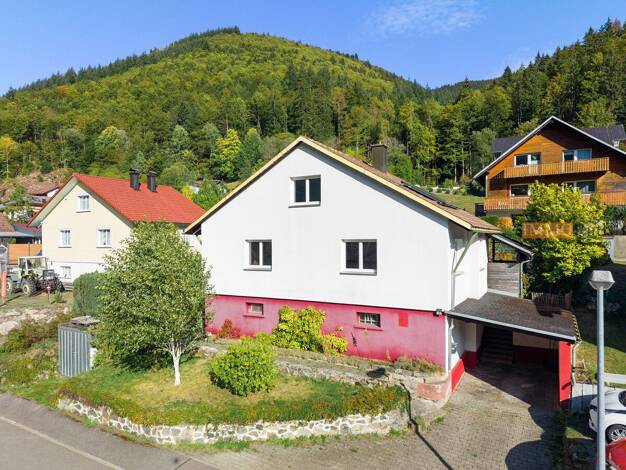Einfamilienhaus zum Kauf 380.000 € 4 Zimmer 100 m² 440 m² Grundstück Brandenberg Todtnau 79674